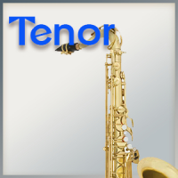 Kunststoff-Blatt B-Tenor-Saxophon