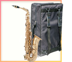 Case covers for saxophone