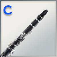 Pad sets for c clarinet