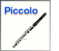 Polster einzeln Piccolo Flöte