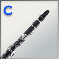 Mundstück für C-Klarinette