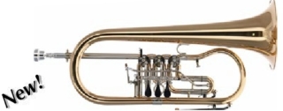 Arnolds&Sons AFH-4200G  B-Flügelhorn mit Zylinder(Dreh-)Ventile Goldmessing