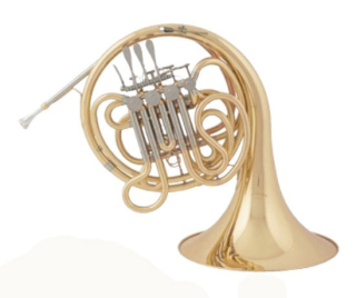 Arnolds&Sons AHR-350 F/B-Doppelhorn