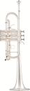 Arnolds & Sons C-Trumpet ATR-6600GS Terra Professional