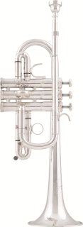 Arnolds&Sons ATR-4600GS Es-/D-Trompete Terra Professional