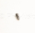 Muramatsu Original Chrome Pivot screw for EX-Model: NORMAL