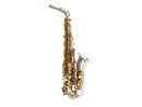 FORESTONE FOACO-GX Silver-plated, COLORS Series ALTO...