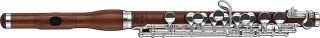 DI ZHAO Piccolo P301 Palisander, Kopf Regular