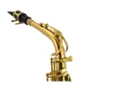 JUPITER Stellar JASSTRQ Eb Altsaxophon, Goldlack, NEU