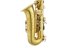 JUPITER Stellar JASSTRQ Eb Altsaxophon, Goldlack, NEU