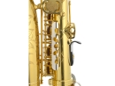 JUPITER Stellar JASSTRQ Eb Altsaxophon, Goldlack, NEU