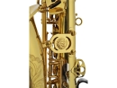 JUPITER Stellar JASSTRQ Eb Altsaxophon, Goldlack, NEU