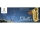 JUPITER Stellar JASSTRQ Eb Altsaxophon, Goldlack, NEU