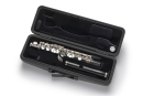 BAM Hightech 4029 XLT Tweed Piccolo Case