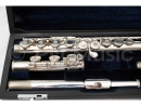 Viento Flute FL108RC (ring keys, straight + curved head...
