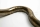 Tuba tuning slide loop, brass, D=19 mm