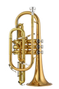 Jupiter JCR1100RQ Bb Kornett Goldmessing, lackiert,...