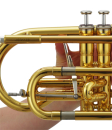 Jupiter JCR1100RQ Bb Kornett Goldmessing, lackiert, Performance Series