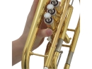 Jupiter JCR1100RQ Bb Kornett Goldmessing, lackiert, Performance Series