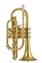 Jupiter JCR1100Q Bb Kornett Messing, lackiert,...