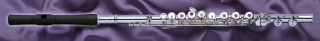 Viento FL308R-G.M.I.C. Flute with Solid Silver Body (Ring Keys)