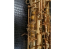 Cannonball BIG BELL® STONE SERIES® ALTO Sax (gebraucht)