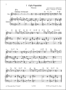 Flöte Spielen Spielbuch Band C - Flöte und...