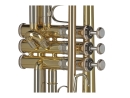 GEWA Germany Bb-Trompete TR501 Ambition