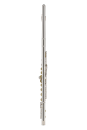 GEWA Germany FL650E2 Ambition Flute with Straight and Curved Headjoints
