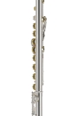 GEWA Germany FL650E2 Ambition Flute with Straight and Curved Headjoints