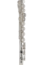 GEWA Germany FL650E2 Ambition Flute with Straight and Curved Headjoints