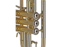 GEWA Germany Bb Cornet CR651 Ambition