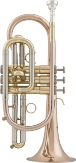 Arnolds & Sons® B-Cornet ACR-655 Gold-Brass, Student Series
