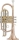 Arnolds & Sons® B-Cornet ACR-655 Gold-Brass, Student Series
