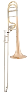 Arnolds & Sons B / F trombone Terra Pro Line ASL-630G