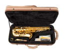 Arnolds&Sons AAS-100 Alto Saxophpone