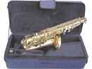 aS Eb Alto Saxophone GigBag