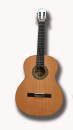 Antonio de Torres classical guitar ESTUDIO AT-E65CL 4/4...