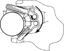 Thumbport Azumi/Jupiter Daumenstütze für C-Querflöte (schwarz/grau)