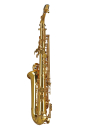 GEWA Germany Eb-Alt Saxophon AS501 Ambition