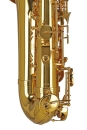 GEWA Germany Eb-Alt Saxophon AS501 Ambition