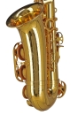 GEWA Germany Eb-Alt Saxophon AS501 Ambition
