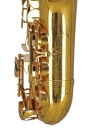 GEWA Germany Eb-Alt Saxophon AS501 Ambition