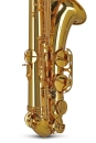 GEWA Germany Bb Tenor Saxophone TS650 Ambition