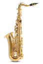 Roy Benson AS-201 Alto Junior Saxophon
