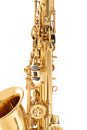 Roy Benson AS-201 Alto Junior Saxophon