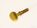 Selmer Neck clamp screw