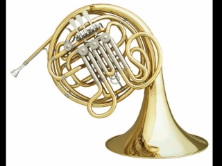 Master Hans Hoyer HH6801-1-0 "Kruspe" F / Bb double horn