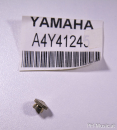 Yamaha LEVER SUPPORT SHAFT NUT TR436G