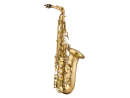 ANTIGUA Eb-Alto-Saxophon NEBULA Splendid Lacquer Finish...